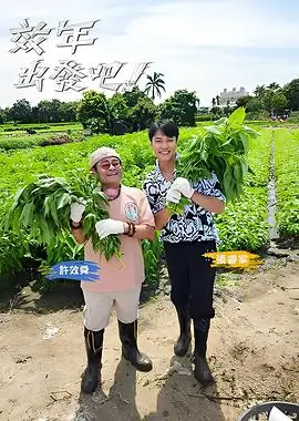 中国诗词大会文化综艺分类卡片配图